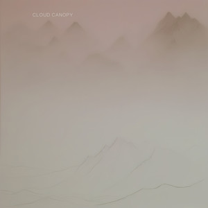 Hidden by Cloud Canopy