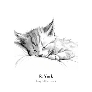 Tiny Little Paws by R. York