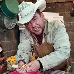 pinolais - pinolais pinolais