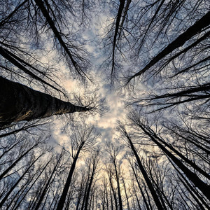 NO CEILING by KRUX W