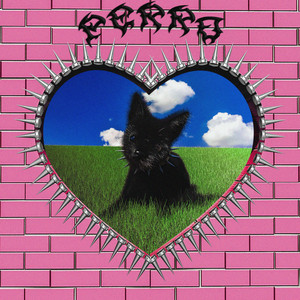 Perro