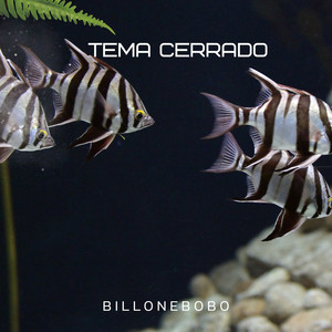 TEMA CERRADO by billonebobo