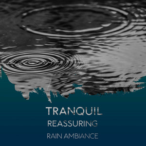 zZz Tranquil Reassuring Rain Ambiance zZz album