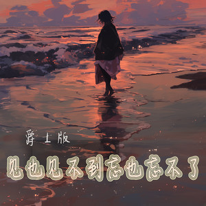 见也见不到忘也忘不了 - 爵士版 by 孙柏瀚