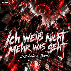 Ich weiß nicht mehr was geht by C.Z-KiND, TripTer