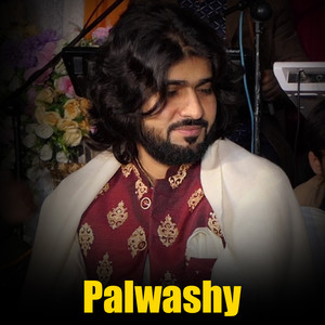 Zeeshan Khan Rokhri - Pindi Tu Ai Mianwali
