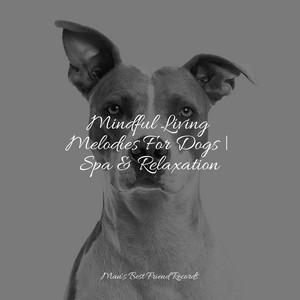 Mindful Living Melodies For Dogs | Spa & Relaxation album