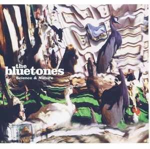 Tiger Lily - song and lyrics by The Bluetones | Spotify