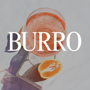 BURRO by LorenRecord