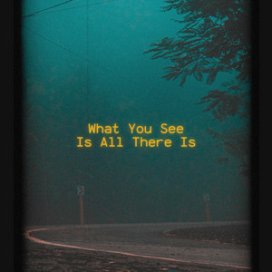 What You See Is All There Is by Claudio Suriano