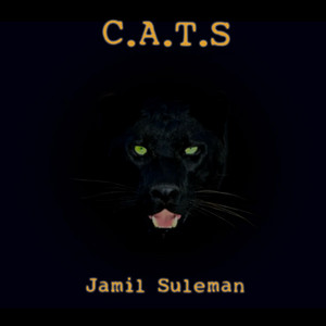 95 Til Epiphanies by Jamil Suleman
