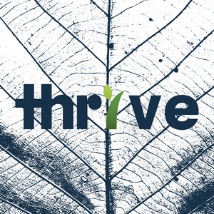 Thrive by Robby Sto. Domingo