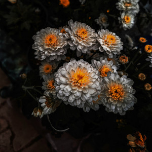 Kyra Bonilla - A Love That's Timeless and Pure