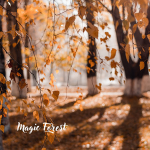 Magic Forest