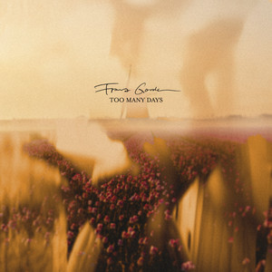 Too Many Days by Franz Bengtsson, Franz Gordon