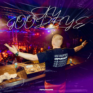 Say Goodbye by Krause