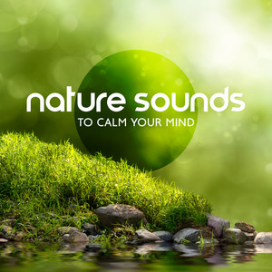 Nature Sounds to Calm Your Mind album