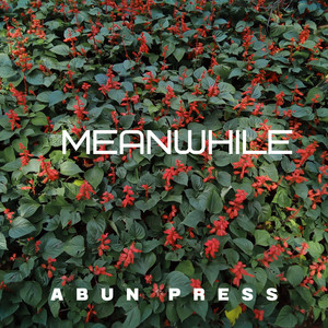 Meanwhile by Abun Press