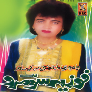 Fozia Soomro - Dil Munjhi Wayin Piyo Bariyo