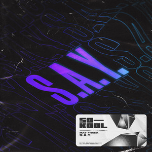 S.A.Y. by Mat Frank