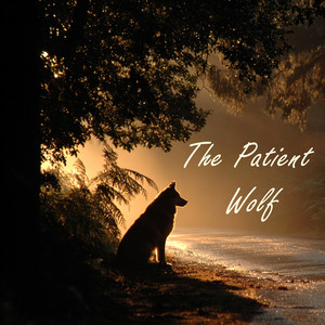 The Patient Wolf by Lofi Lonely