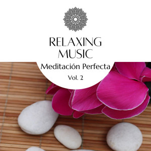 1 Meditación Perfecta Vol. 2 album