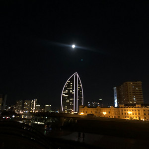 The Nights by Lorel Glorant