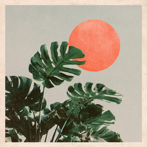 Preference by Nu Sunset