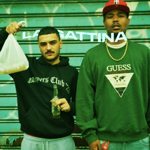 DisPaisy - LA GATTINA