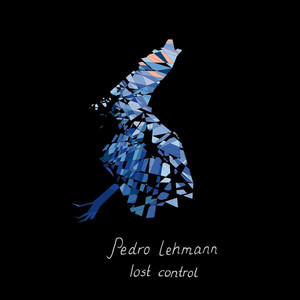 She Lost Control by Pedro Lehmann