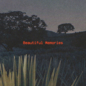 DI(VERSI)ON - Beautiful Memories