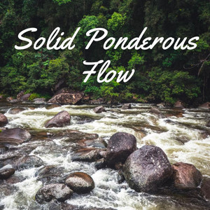 Solid Ponderous Flow album