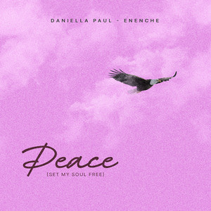 Peace (Set My Soul Free) - Single by Daniella Paul-Enenche | Spotify