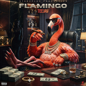 Flamingo by Teejay, Starzplus