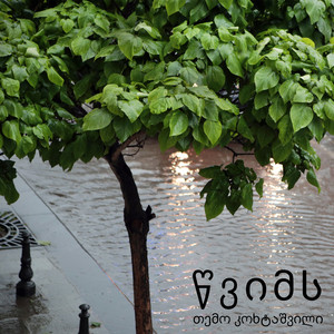 Temo Kokhtashvili - It Is Raining