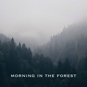 Morning in the Forest