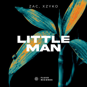 Little Man cover art