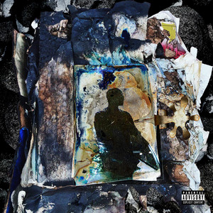 Crystal Clear by FLEX SINATRA