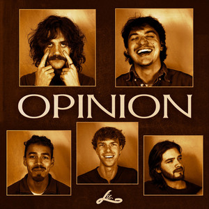 Opinion by Lie.
