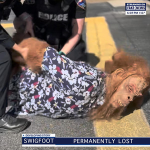 Permanently Lost by Swigfoot