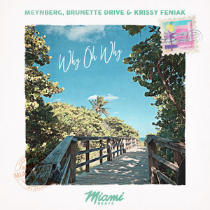 Why Oh Why by Meynberg, Brunette Drive, Krissy Feniak