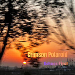 sadness of teory by Crimson Polaroid