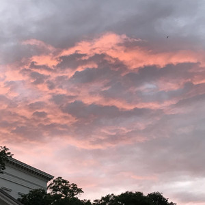 Pink Sky by Cefri Sercecik