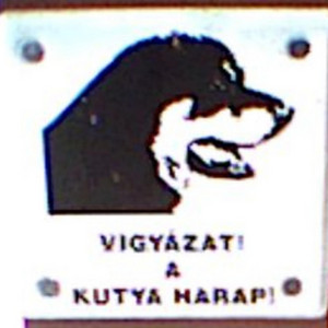 vicious by anarchy