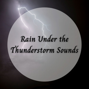 Rain Under the Thunderstorm Sounds album