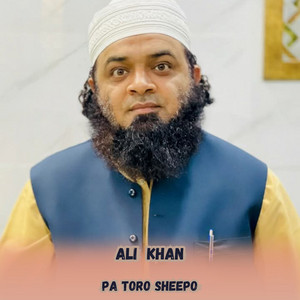 Pa Toro Sheepo