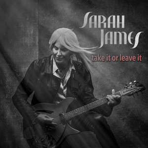 Take It or Leave It by Sarah James