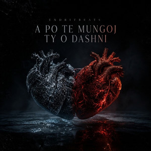 A Po Te Mungoj Ty O Dashni by Endritbeats