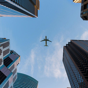 Fly