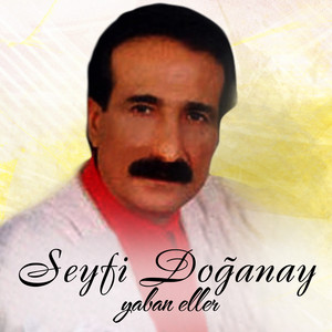 Seyfi Doğanay - Dön Gel